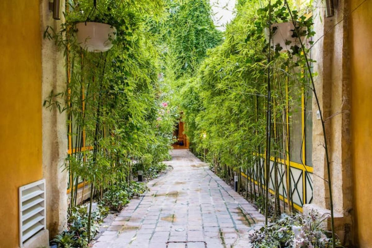 Les Patios du Marais - Jardin